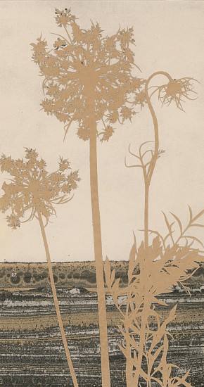 Jean-Pierre Sudre, Matièrè et Végétal, 1978
Vintage toned gelatin silver print; Mordançage, 11 7/8 x 6 1/8 in. (30.2 x 15.6 cm)
8327
$5,000