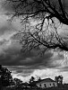 Debbie Fleming Caffery, Stormy Day in 9th Ward
Aug-06, Gelatin silver print
