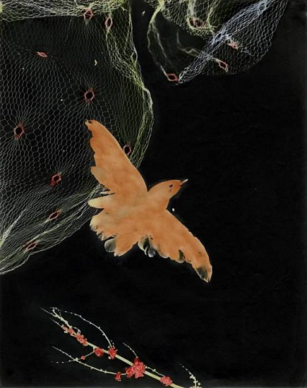 Josef Breitenbach, Photogram, Bird, c. 1948
Vintage hand colored gelatin silver print, 13 13/16 x 11 in. (35.1 x 27.9 cm)
3326
Sold