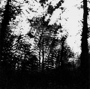 Work: Untitled (Motion-Sound: #28 ID)