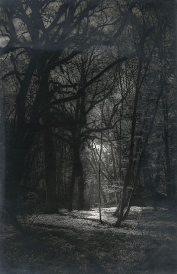 Josef Breitenbach, Light in the Woods, c. 1930
Vintage gelatin silver print, 14 3/4 x 9 5/8 in. (37.5 x 24.4 cm)
5389
Sold