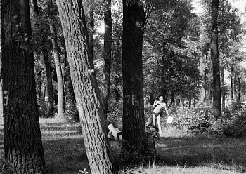 Work: Gidropark (#2)