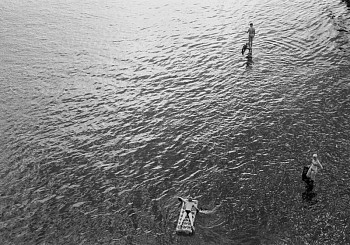 Work: Gidropark (#54)