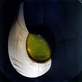 Work: Tubal Lake (Environmental Model) @ Simpson