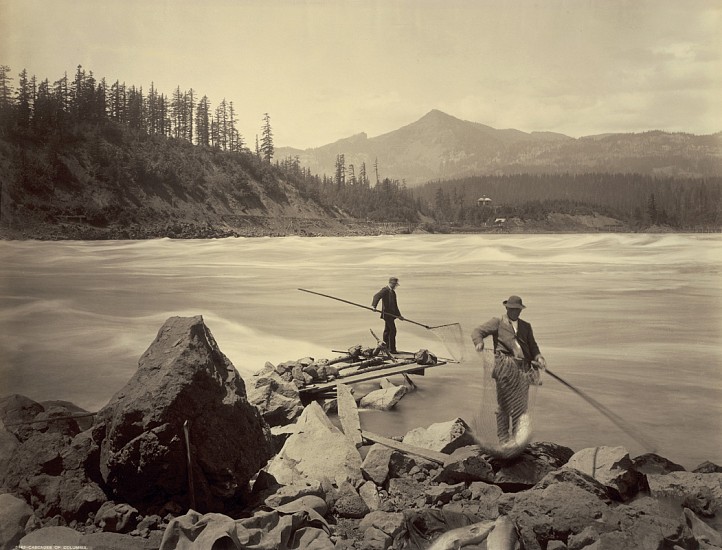 Frank Jay Haynes, Cascades of Columbia, 1880
Vintage albumen print from a mammoth-plate glass negative, 16 5/8 x 21 3/4 in. (42.2 x 55.2 cm)
2185
Sold