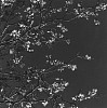 Ken Collins, Fort Greene Suite # 111
2002, Gelatin silver print
