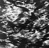 Ken Collins, River Meditation # 0304
2004, Gelatin silver print