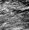 Ken Collins, River Meditation # 1604
2004, Gelatin silver print