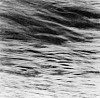 Ken Collins, River Meditation # 0545
2005, Gelatin silver print