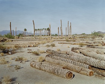 Joshua Lutz - 138 Miles to go