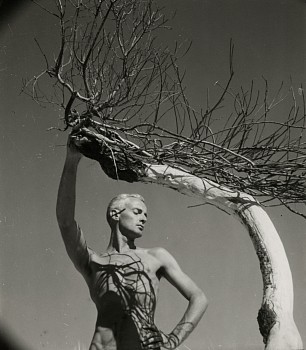 Work: George Platt Lynes