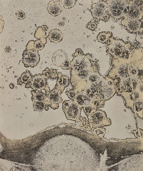 Work: First Matériographie