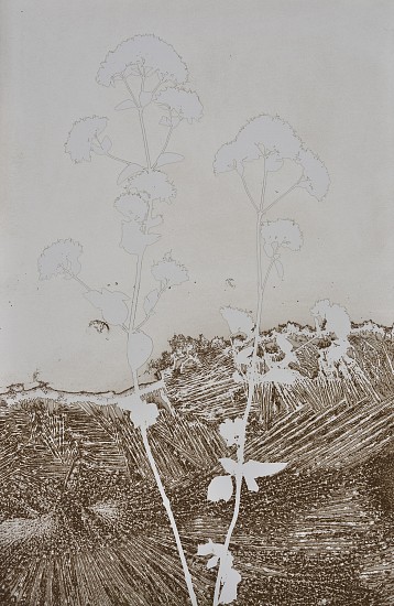 Jean-Pierre Sudre, Matièrè et Végétal, 1978
Vintage toned gelatin silver print, 11 15/16 x 7 7/8 in. (30.3 x 20 cm)
Mordançage
6689
Sold