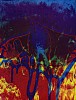 Henry Holmes Smith, Phoenix Burning
1972-1977, Dye transfer print