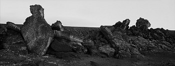 Work: Halemanau Crater, The Big Island, Hawaii