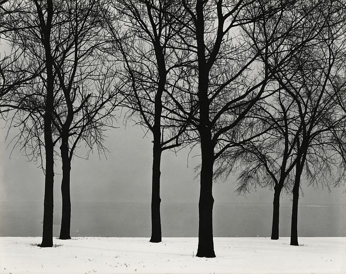 Harry Callahan, Chicago, 1950
Vintage/early gelatin silver print, 7 9/16 x 9 9/16 in. (19.2 x 24.3 cm)
4166
Sold