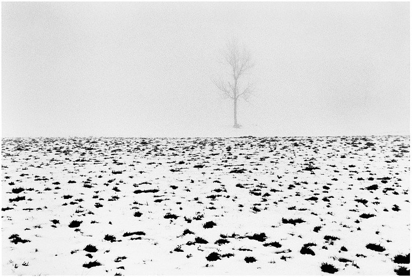 Machiel Botman, Tree Snow, 2008
Gelatin silver print, 14 5/16 x 21 9/16 in. (36.4 x 54.8 cm)
Edition of 10
4734