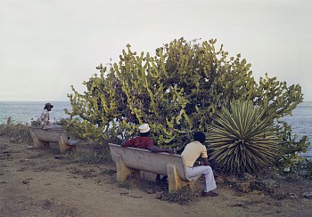 Work: Mombasa, Kenya (park)