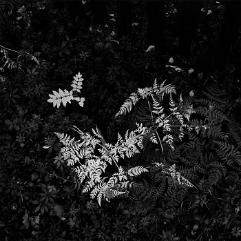 Kenneth Josephson - Stockholm