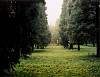 Allen Frame, Beijing park, (woman kneeling)
2008, Chromogenic color print