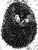 Roger Catherineau, Herisson (Hedgehog)
1954, Vintage gelatin silver print