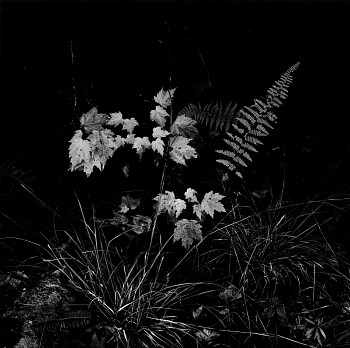 Work: New York State