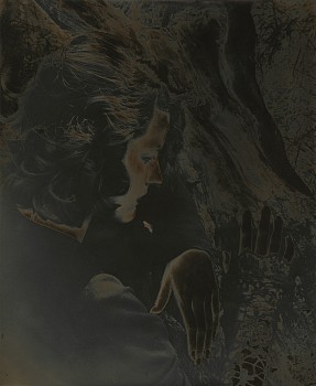 Work: Jane Lawrence