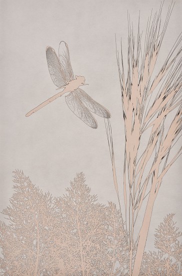 Jean-Pierre Sudre, Insectes, 1979
Vintage toned gelatin silver print; Mordançage, 11 3/4 x 7 7/8 in. (29.9 x 20 cm)
6671
$7,000