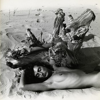 Work: Mercedes, Provincetown