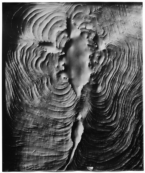 Klea McKenna, Automatic Earth #95, 2017
Gelatin silver print; unique photogram with impression, 23 3/8 x 19 1/2 in. (59.4 x 49.5 cm)
7715