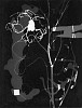 Roger Catherineau, Photogramme
1959, Vintage gelatin silver print