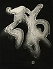 Herbert Matter, Untitled
c. 1939-43, Vintage gelatin silver print