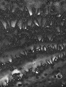 Jean-Pierre Sudre - Apocalypse, Révélation