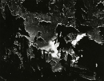 Minor White | Works | Gitterman Gallery Web Site