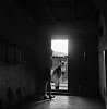 Debbie Fleming Caffery, Horse in Doorway
c. 1990, Gelatin silver print
