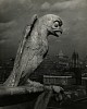 Josef Breitenbach, Gargoyle, Notre Dame
1928, Vintage gelatin silver print