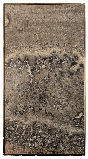 Jean-Pierre Sudre, Brunosphère, 1966
Vintage toned gelatin silver print; Mordançage, 33 1/2 x 17 3/4 in. (85.1 x 45.1 cm)
Mounted on wood panel, in its original frame, signed, titled, dated and numbered 1/1 on the mount verso with MoMA exhibition loan label and customs stamp.
Exhibited: A European Experiment: Photographs by Brihat–Cordier–Sudre, April 26–June, 29167, The Museum of Modern Art, New York.
7756
$10,000