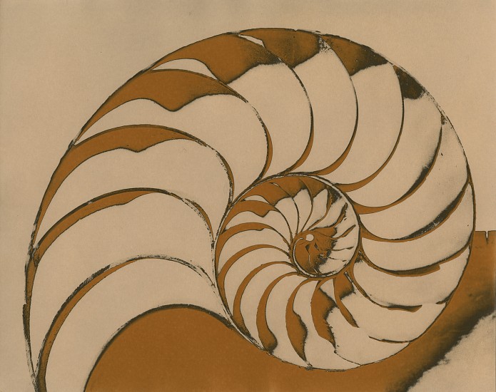 Jean-Pierre Sudre, Untitled, c. 1968
Vintage toned gelatin silver print; Mordançage, 9 3/8 x 11 3/4 in. (23.8 x 29.8 cm)
Nautilus shell
7892
$7,000