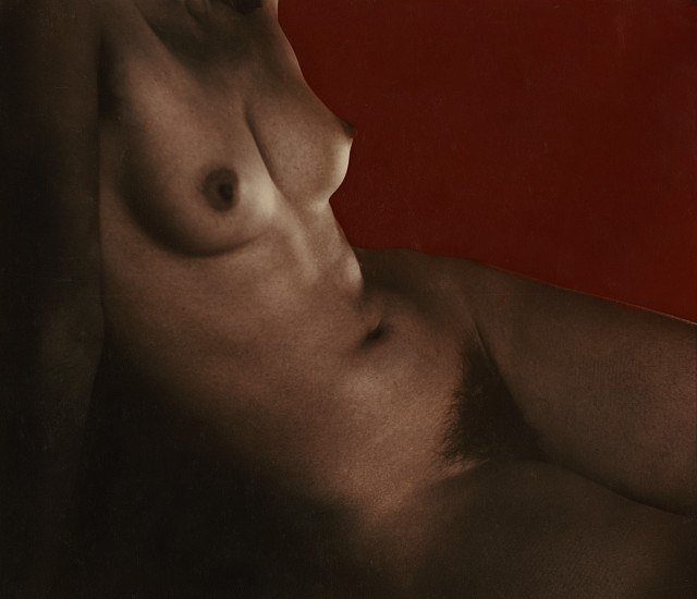 Josef Breitenbach, Akt, Torso, 1933-39
Vintage toned gelatin silver print, 9 1/4 x 10 5/8 in. (23.5 x 27 cm)
5719