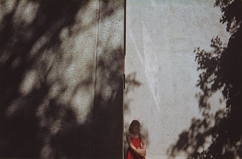 Harry Callahan -&nbsp;Germany