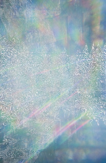 Christopher Russell, The Spangle Maker 5, 2021
Pigment print scratched with a razor, 36 x 24 in. (91.4 x 61 cm)
Price includes mounting to Dibond and framing with TruVue Optium acrylic.
8203
$7,000