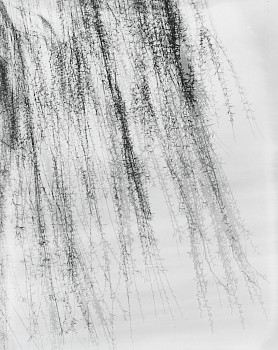 Work: Royal Oak, Michigan