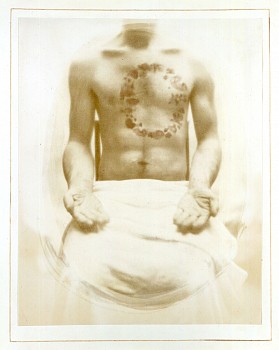 Dan Estabrook -&nbsp;Bloom (Gift)