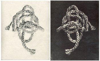 Dan Estabrook -&nbsp;Knot
