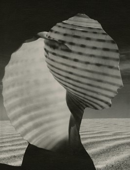 Ruth Thorne-Thomsen -&nbsp;Pacifica, New Mexico (version 1)