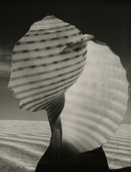Ruth Thorne-Thomsen, Pacifica, New Mexico (version 2), 1986
Vintage gelatin silver print, 4 5/8 x 3 3/4 in. (11.8 x 9.5 cm)
8779
Sold
