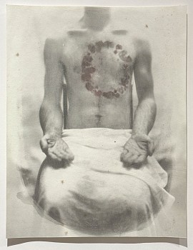 Work:&nbsp;Bloom (Gift)